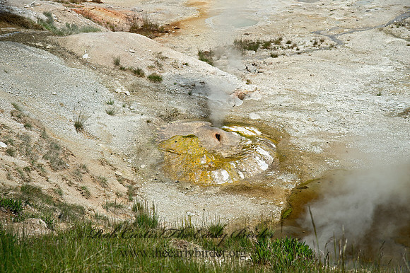 NORRIS GEYSER BASIN 9061257z