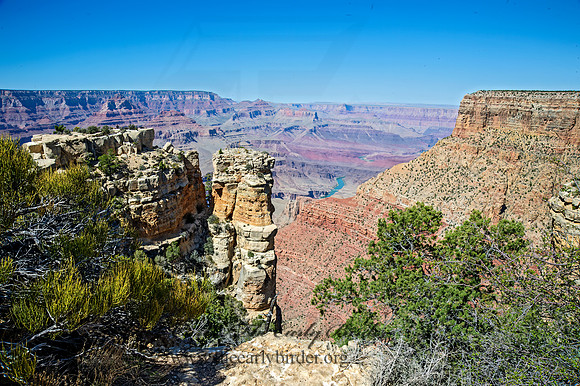 Moran Point 9054906-HDRz
