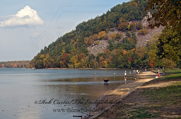 BEACH SCENE 7015584z