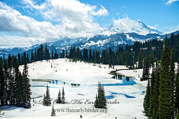 Mt. Rainier NP 9060945-7 HDRz
