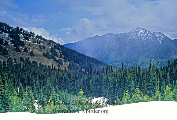 OLYMPIC MOUNTAINS 147613z