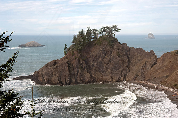 OCEAN VIEW 8019798z