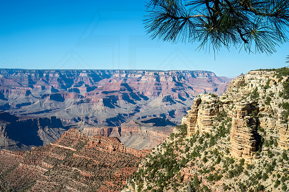 GRAND CANYON VISTA 9054921-HDRz