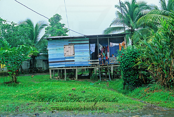 COSTA RICAN SHANTY 193535z