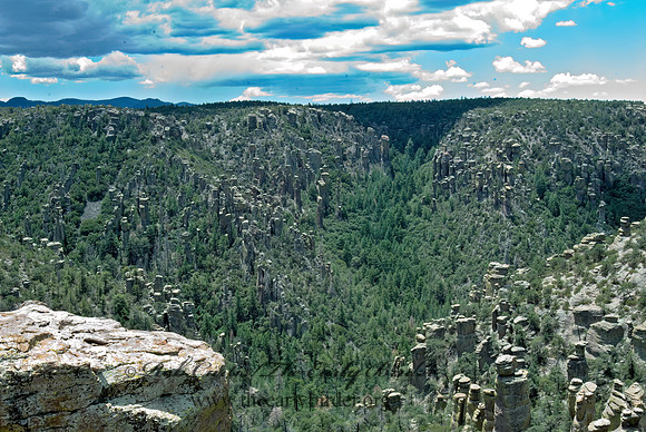 Chiricauhuas NM 7009610z