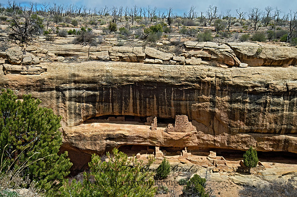 CLIFF DWELLINGS 9054861z