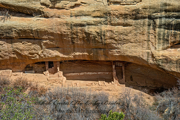 Fire Temple  CLIFF DWELLINGS 9054865z