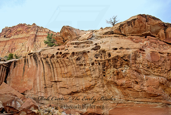 Capitol Reef NP 104526z