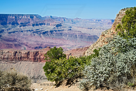 Moran Point 9054905z