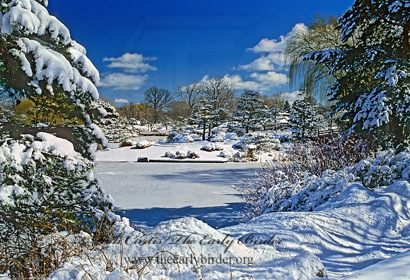 Chicago Botanic Gardens 287609z