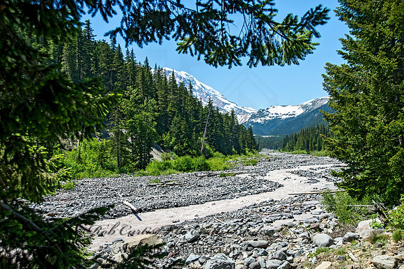 Mt. Rainier NP 90608803 -HDRz