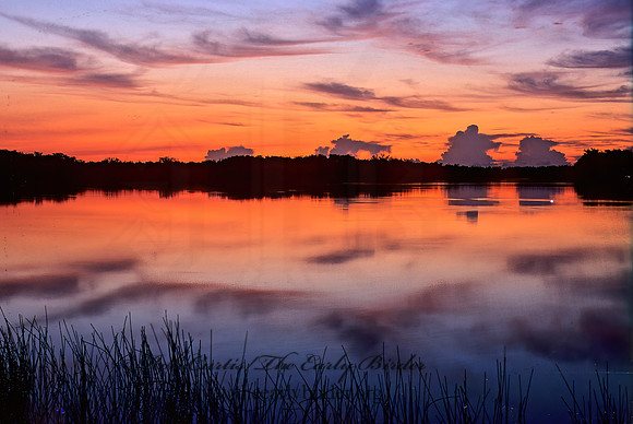 9 Mile Pond sunrise 252501 Everglades NPz