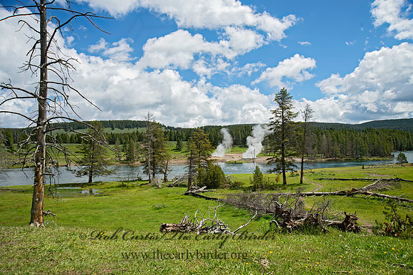THERMAL SPRING   9061068z