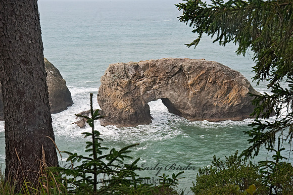OCEAN VIEW 8019816z