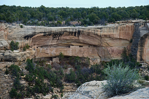 Sun Point Pueblo  CLIFF DWELLINGS 9054851z