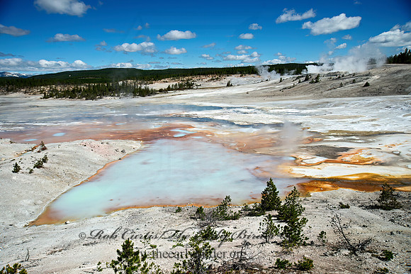 NORRIS GEYSER BASIN 9061215z