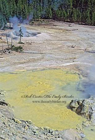 HOT SPRING 133926z