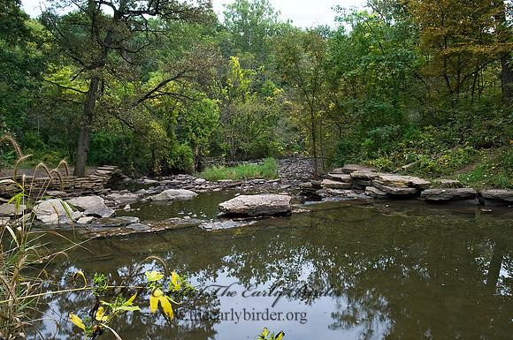 CREEK 8018424z