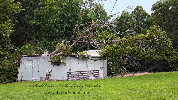 SHED CRUSHED 2000714z
