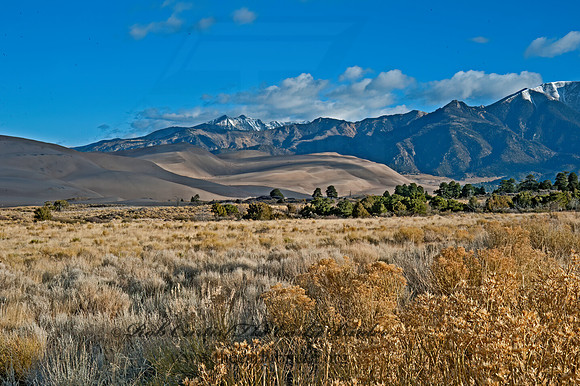 Great Sand Dunes NP 8035927z