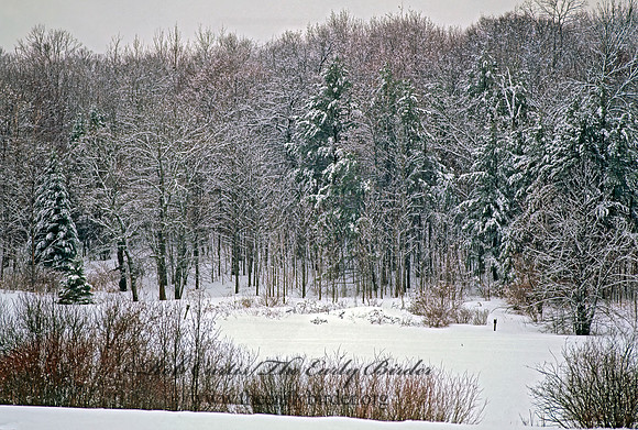 Eagle Lake scene 141509z