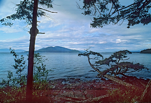 Rosario Strait 146604z