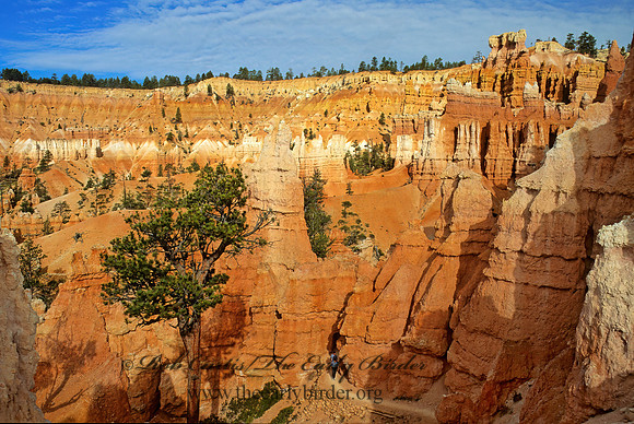 Bryce Canyon NP  SUNRISE POINT TRAIL 105208z