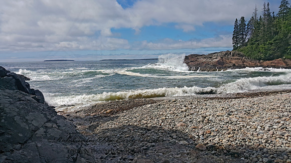 Acadia NP  OCEAN VIEW 2000062z