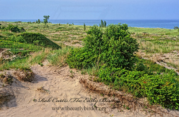 DUNES SCENE 282907z