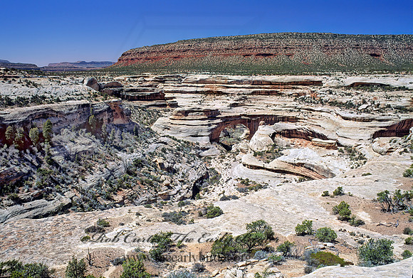 Natural Bridges NM 104315z
