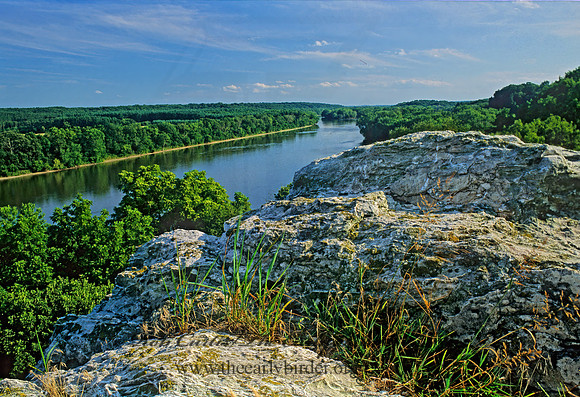 Castle Rock SP 294413z