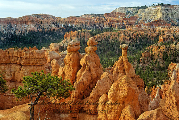 Bryce Canyon NP 105320z