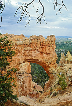 Bryce Canyon NP  NATURAL BRIDGE 105009z