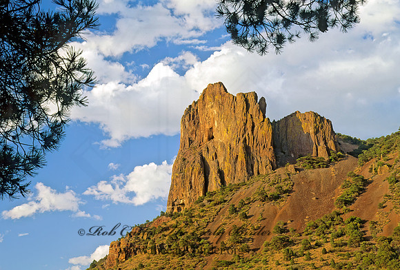 Chisos Mts  ROCK FORMATION 92135z