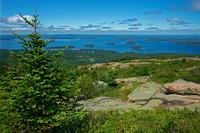 Acadia NP CADILLAC MT VIEW 9032536z