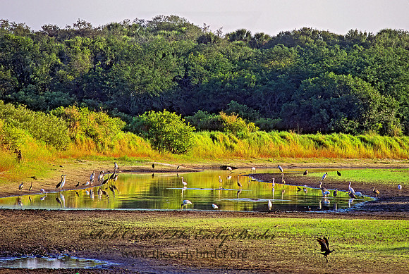 Myakka River SP 272305z
