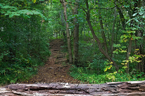 TRAIL 8018445z
