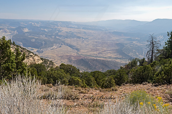 Echo Pt Overlook - Dinosaur NM 3025228z
