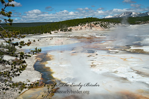 NORRIS GEYSER BASIN 9061238z