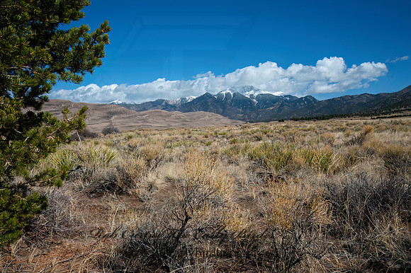Great Sand Dunes NP 8035912z