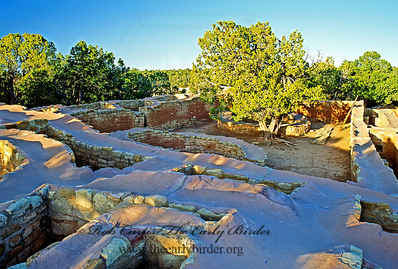 SUN TEMPLE FOUNDATIONS 104229z
