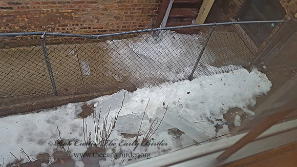 2000931 icicle 1