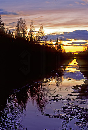 DRAINAGE CANAL SUNSET 98623z