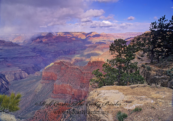 GRAND CANYON OVERLOOK 122235z