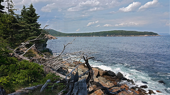 Acadia NP  OCEAN VIEW 2000075z