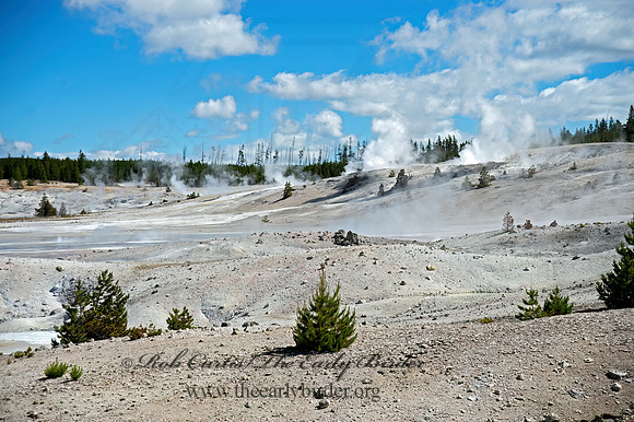 NORRIS GEYSER BASIN 9061204z