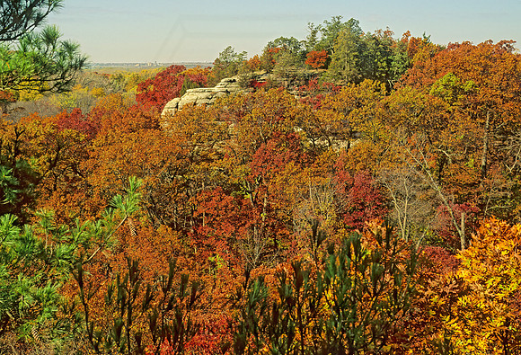 FALL COLORS  139215z