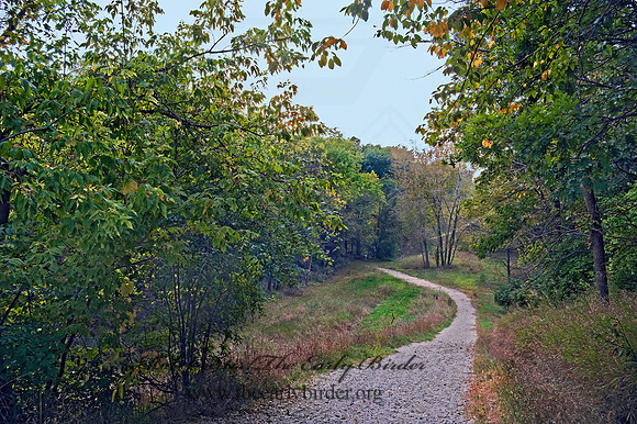 TRAIL 8018480z