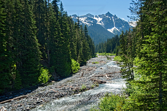 Mt. Rainier NP 9060887z