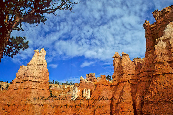 Bryce Canyon NP 105220z